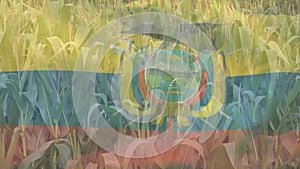Digital composition of waving ecuador flag against close up of crops in farm field