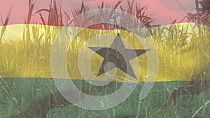 Digital composition of waving ghana flag against close up of crops in farm field