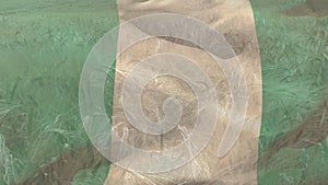 Digital composition of waving nigeria flag against close up of crops in farm field