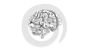 Digital computer brain with circuit texture
