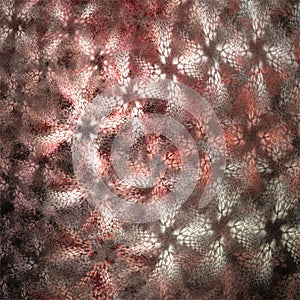 Digital computer fractal art abstract fractals white pink flower carpet