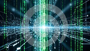 Digital Data Flow and Network Connectivity