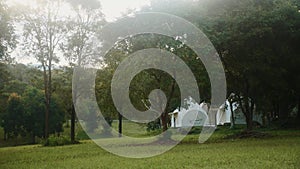 Digital detox, enjoy nature. Modern white tents stand on green lawn in woods