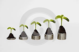 Digital drawing of young sprout on coins, growing money plant on coins, business and finance rise money concept