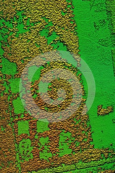 Digital elevation model of a forest area