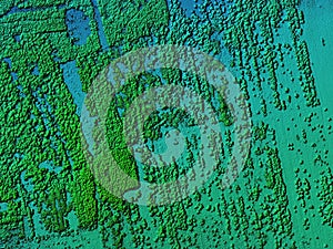 Digital elevation model of a forest area