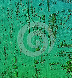 Digital elevation model of a forest area