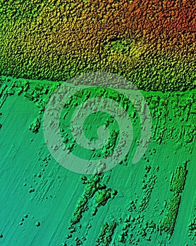 Digital elevation model of a forest area