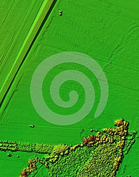 Digital elevation model of a forest area