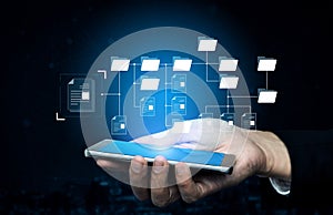 Digital File Directory and Folder Organization Structure Vouch