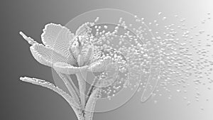 Digital Flower Disintegrates To 3D Pixels