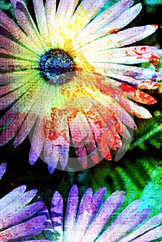 Digital flower illustration