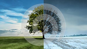 Digital Four season change concept with tree against summer winter sky