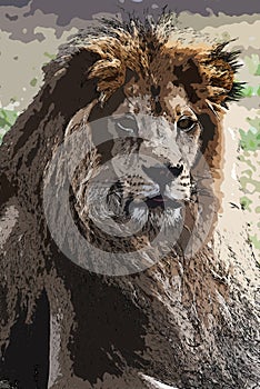 Digital Generated  Photo Of A Zoo Lion.