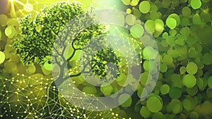 A digital graphic of a tree made up of intricate molecular structures depicting the natural origins of biodiesel as a