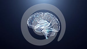 Digital human brain formed by interconnected glowing particles, symbolizing artificial intelligence, machine learning, and