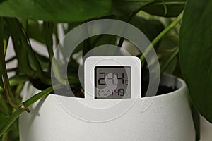 Digital hygrometer with thermometer and plant in flower pot, closeup