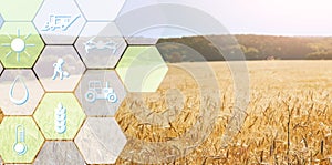 Digital icons for management and monitoring agriculture photo