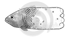 digital illustration fish aquarell print