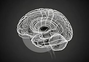 Digital illustration of a human brain