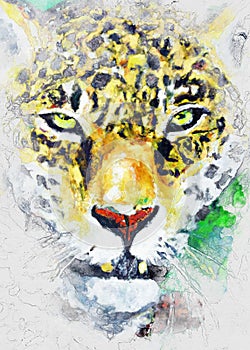 Digital illustration of a jaguar