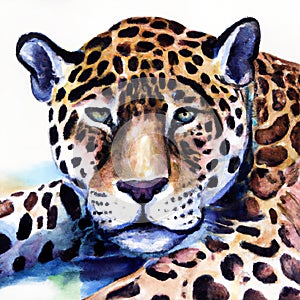 Digital illustration of a jaguar