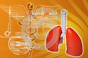 Digital illustration of lungs