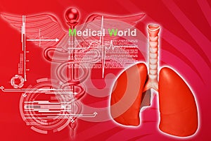 Digital illustration of lungs