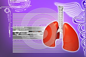 Digital illustration of lungs