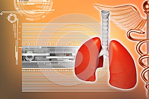 Digital illustration of lungs