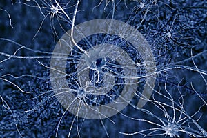 Digital illustration neurons