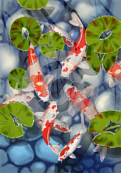 Digital illustration of a pond with some white and red koi fish, with a rocky bottom