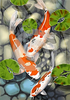 Digital illustration of a pond with three white and red koi fish with a rocky bottom