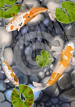 Digital illustration of a pond with three white and yellow koi fish, with a rocky bottom and green lotus leaves