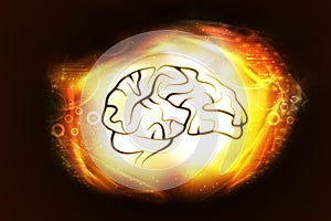 Presentation of human brain