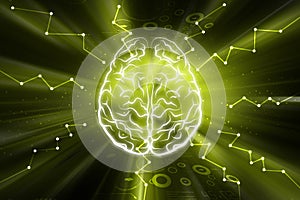 Presentation of human brain