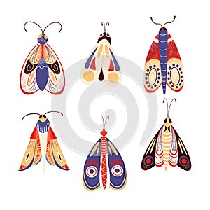 Digital illustration with a set of cute moths, butterflies and insects, isolated elements.