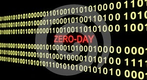 Zero-Day Vulnerability in Binary Code