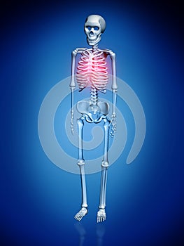 Digital illustration of a Skelton