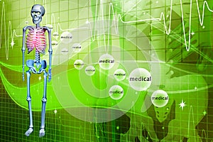 Digital illustration of a Skelton