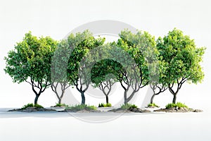 Digital image of  group of trees on a white background, high quality, high resolution
