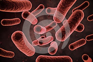 Digital image of red bacteria