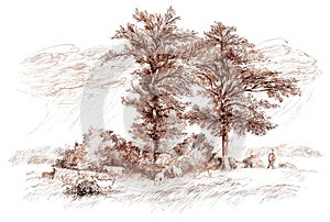 Digital ink illustration with a brown sepia landscape, with some goats and a sheperd near some oak trees