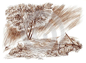 Digital ink illustration with a silent coutryside landscape, with an old house surrounded by nature