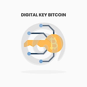 Digital key secure bitcoin icon flat.