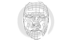Digital lines create face shape, digital concept
