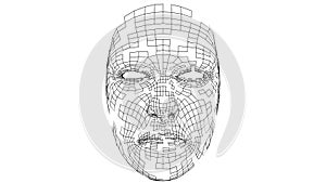 Digital lines create face shape, digital concept