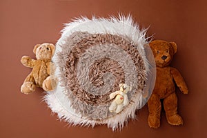 Digital newborn background for baby girls and boys. Brown colors, fur and teddy bears