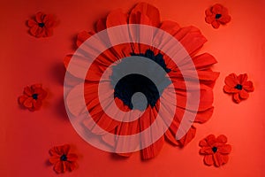 Digital newborn background with flowers. One large red poppy and little poppies