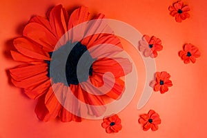 Digital newborn background with flowers. One large red poppy and little poppies